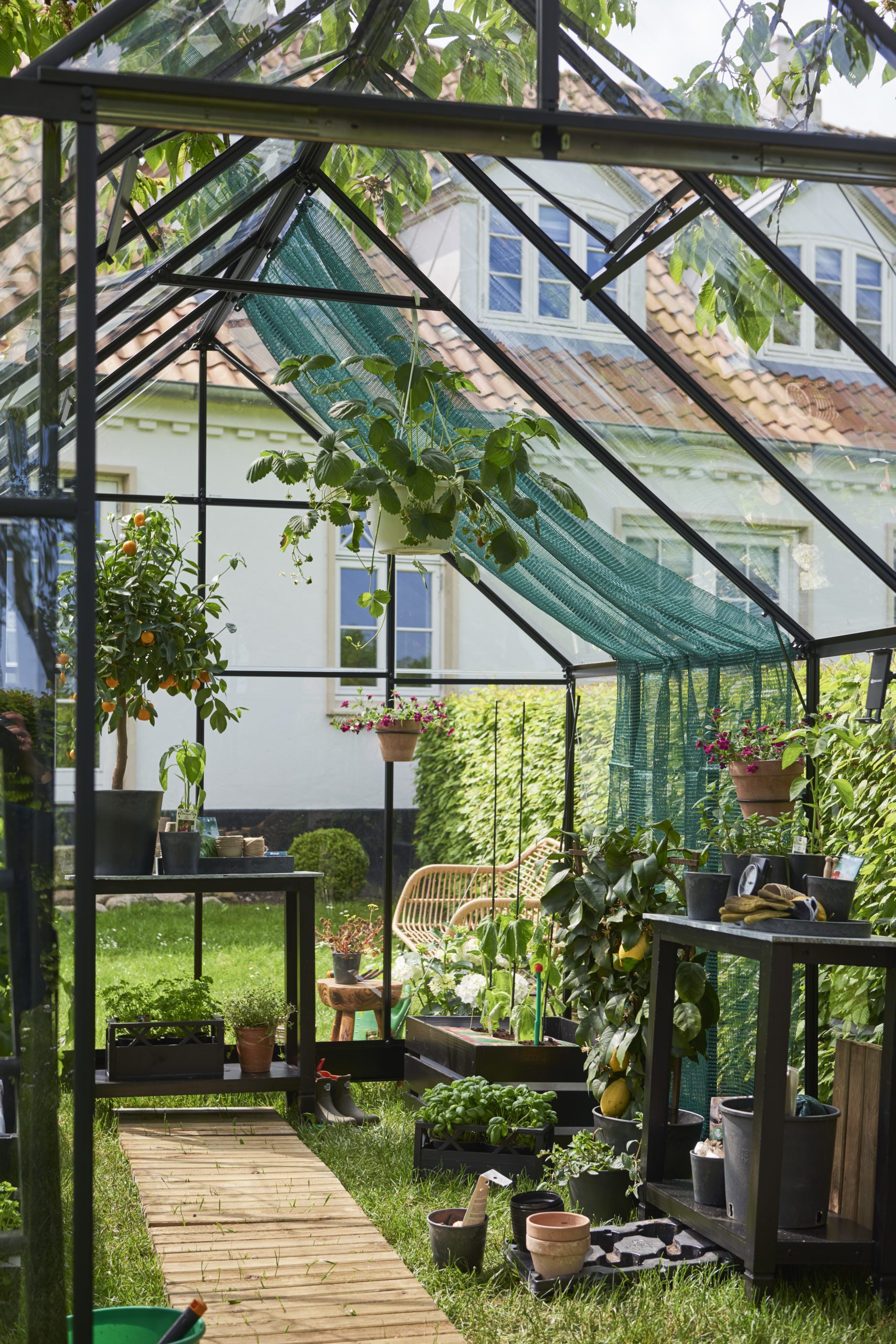 Qube Royal Well - Afbeelding 4