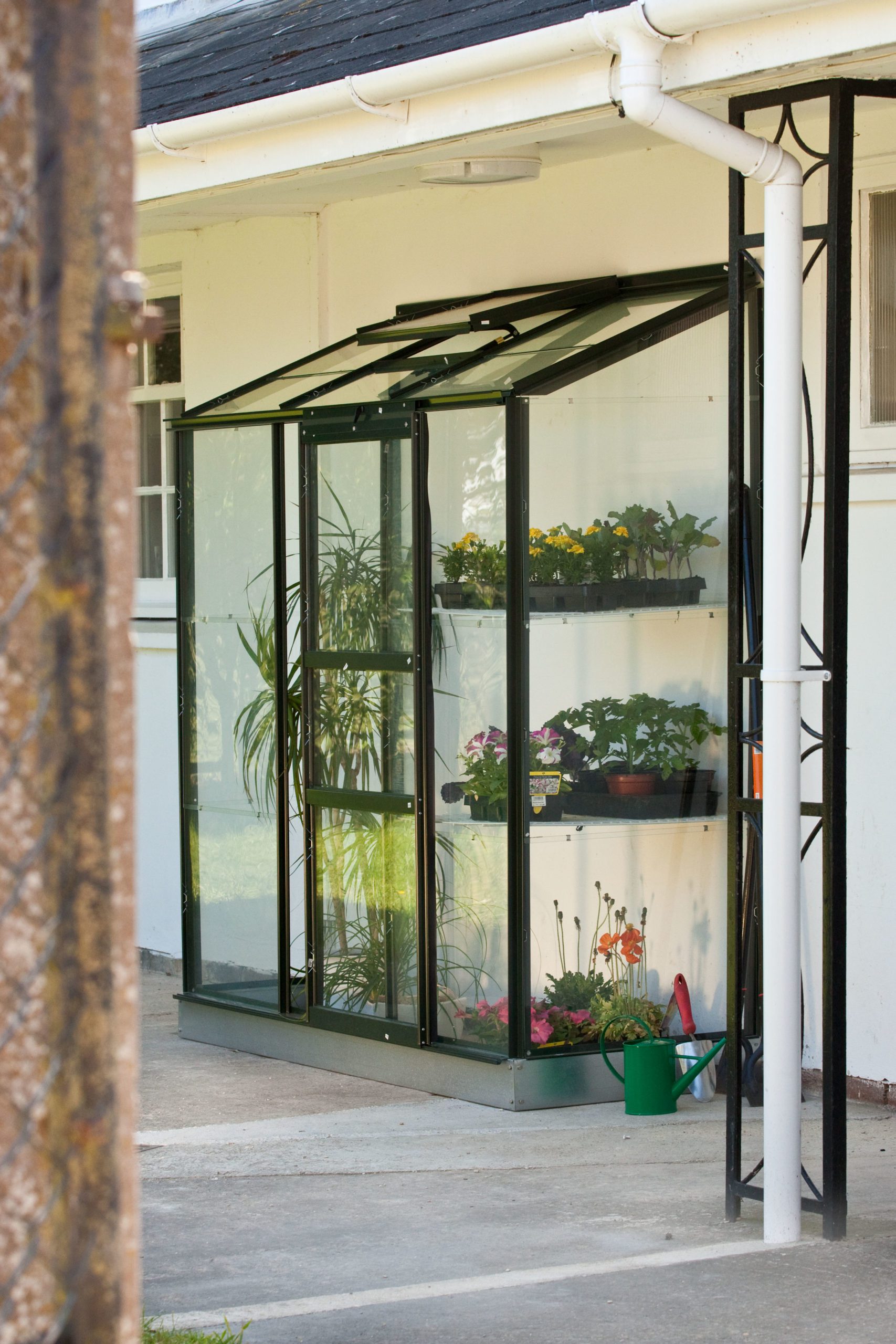 Wall Garden Royal well