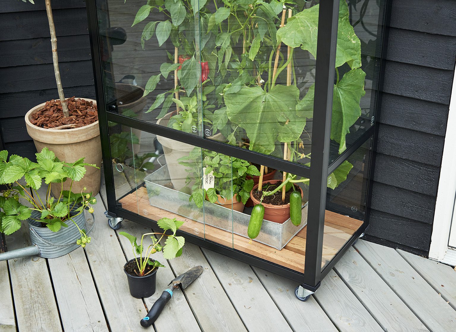 City Garden royal well