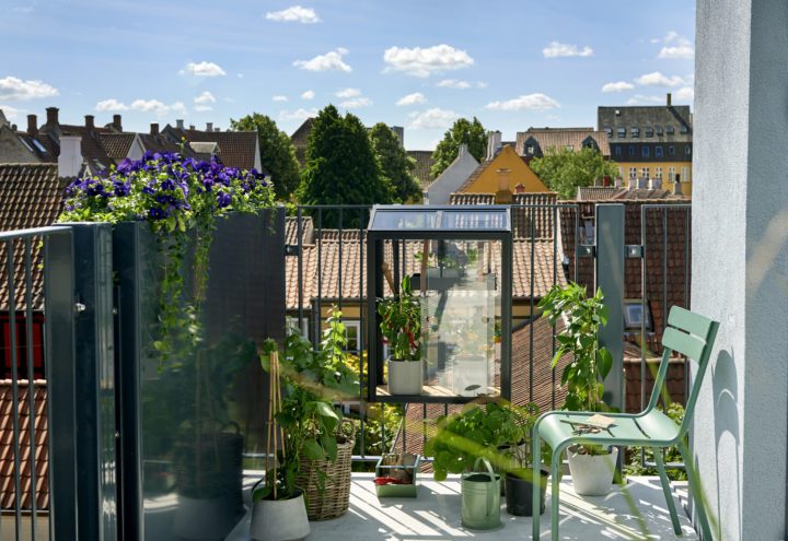 Balcony Garden