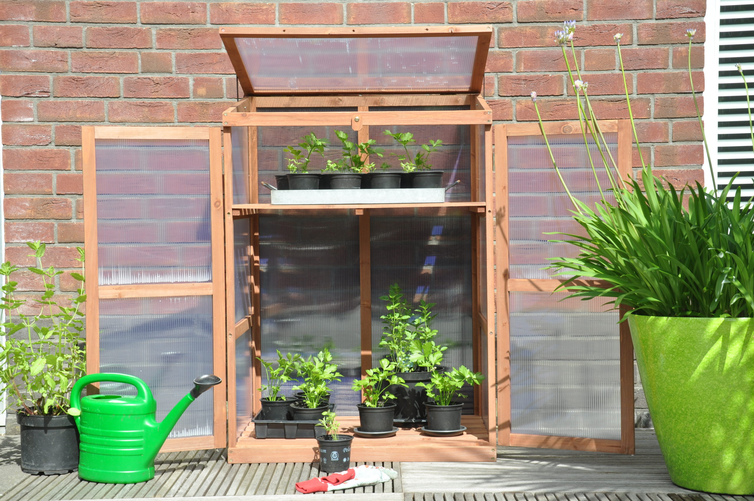 Rosemary's Choice Royal Well