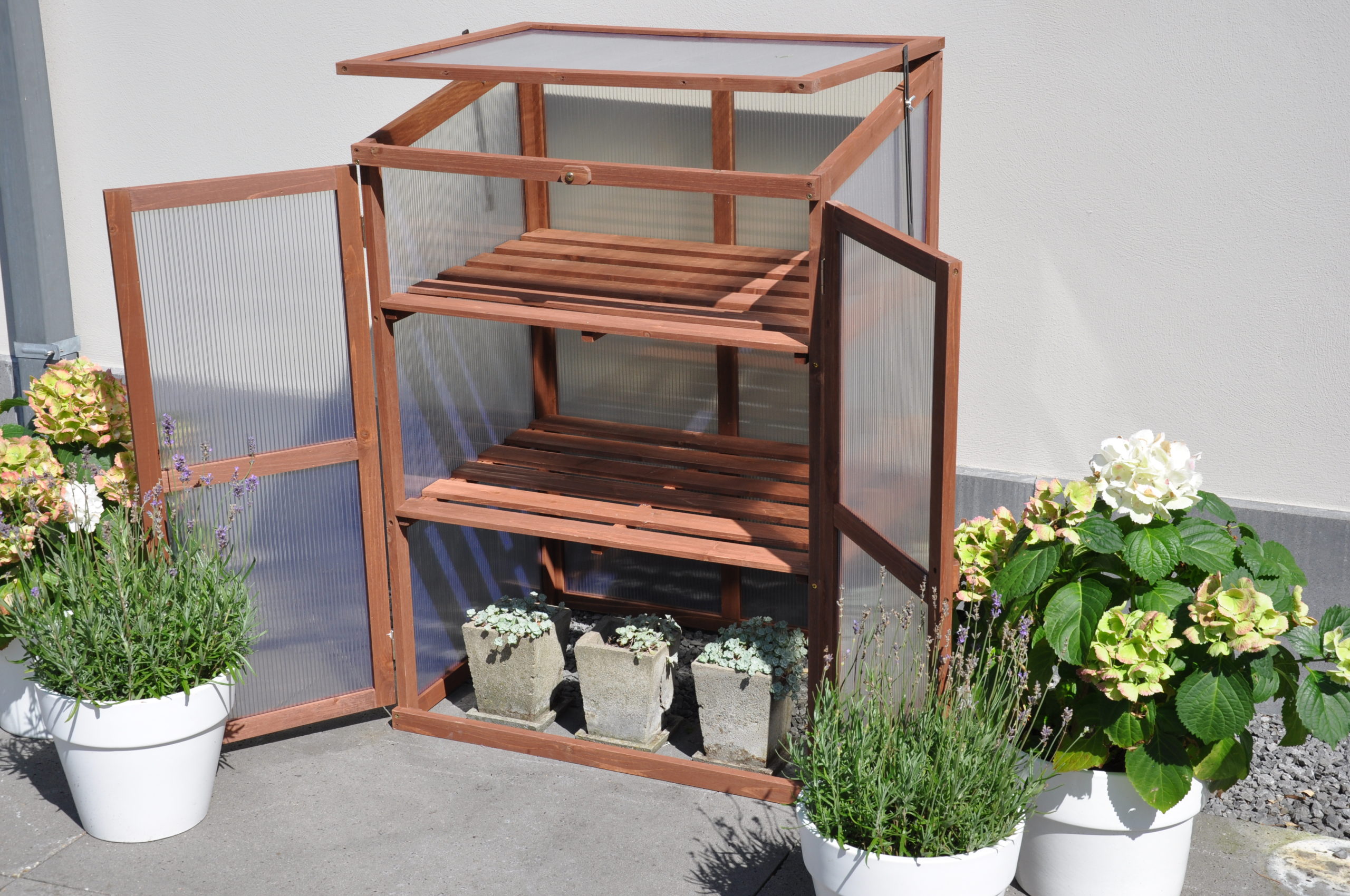 Rosemary's Choice Royal Well