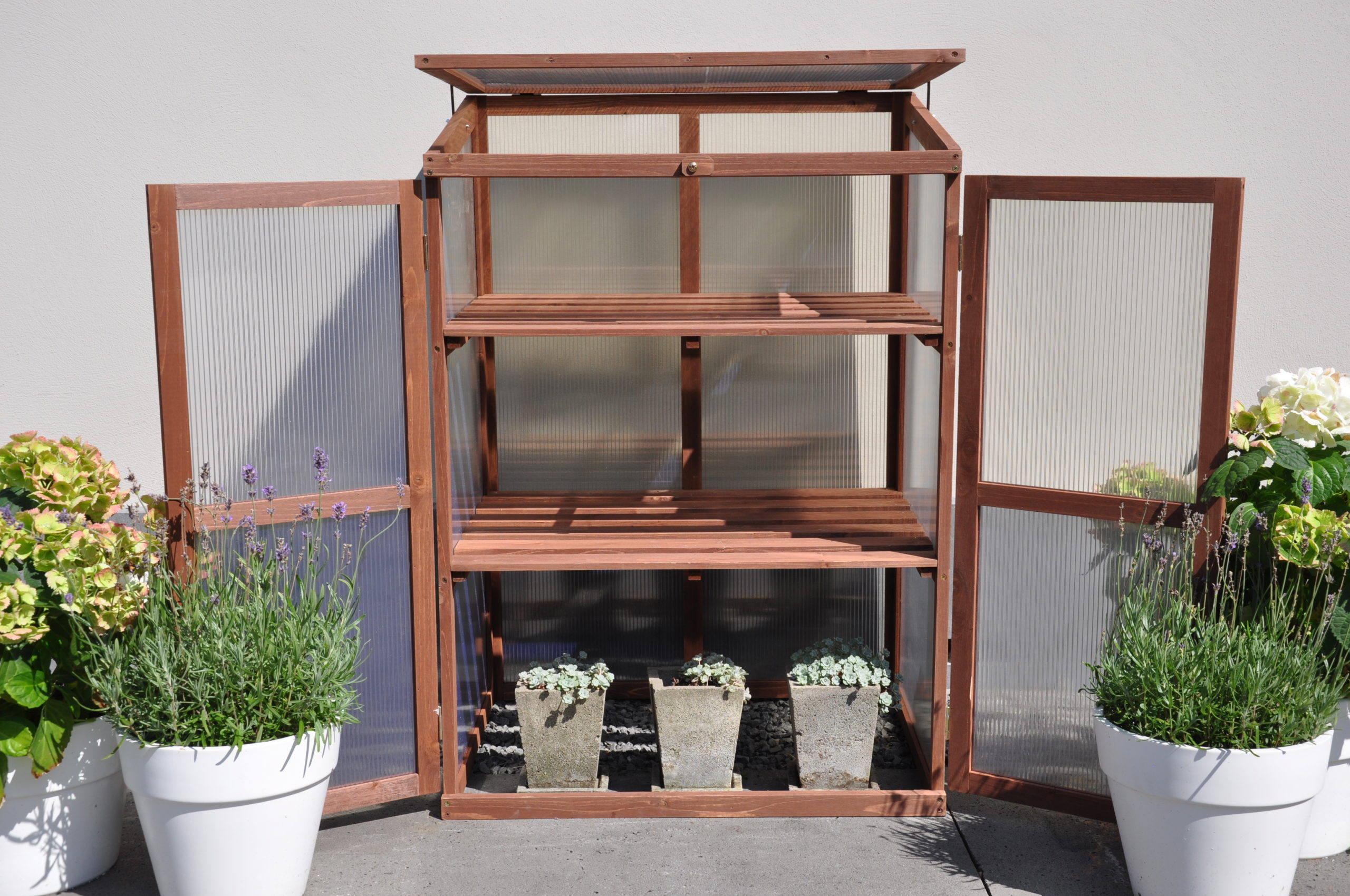 Rosemary's Choice Royal Well