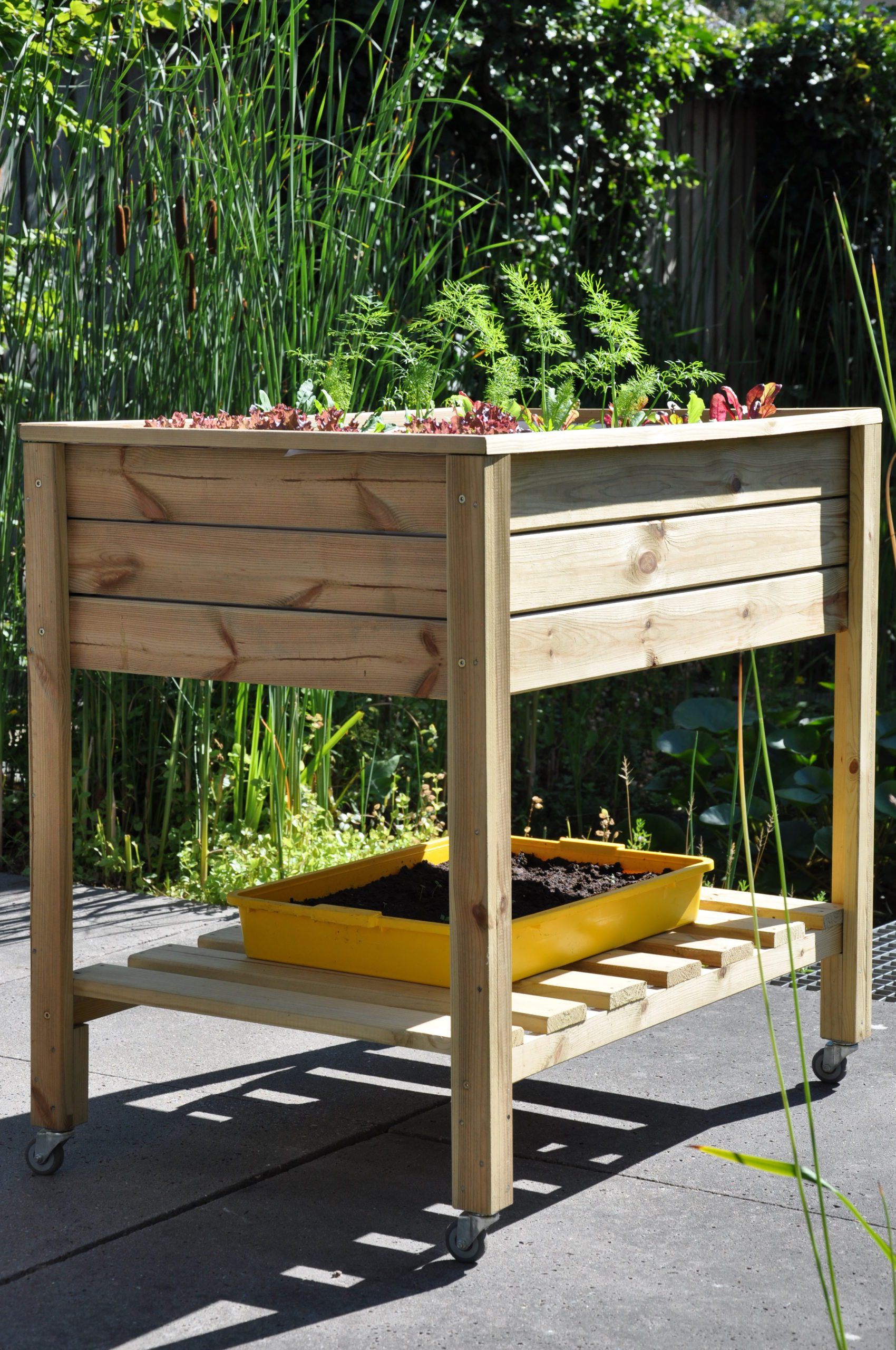 Planter-On-Wheels Royal Well