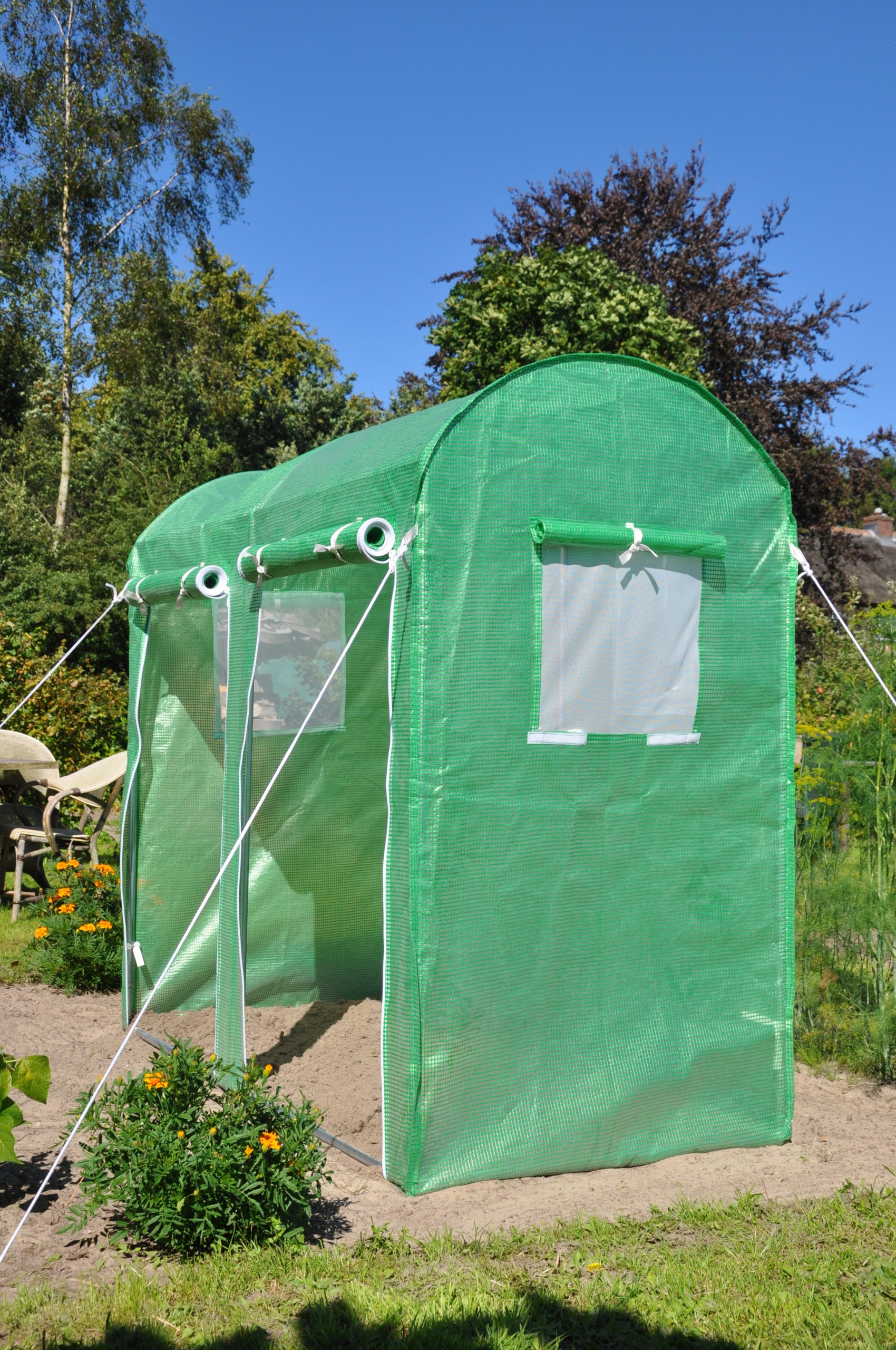 Maxi Tomato Galva Royal Well