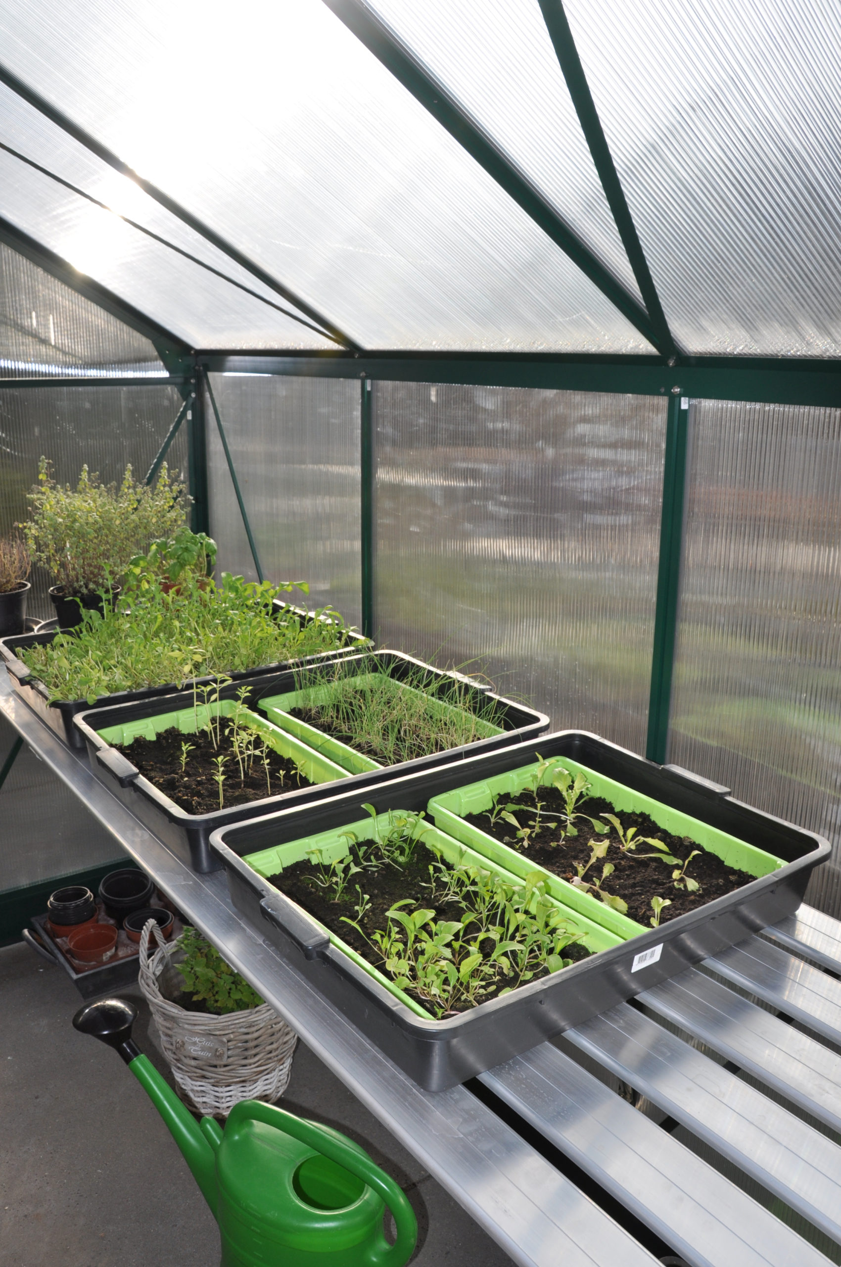 Kweektafel Alu Grower Royal Well