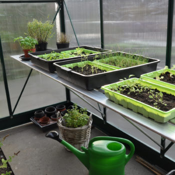Kweektafel Alu Grower Royal Well