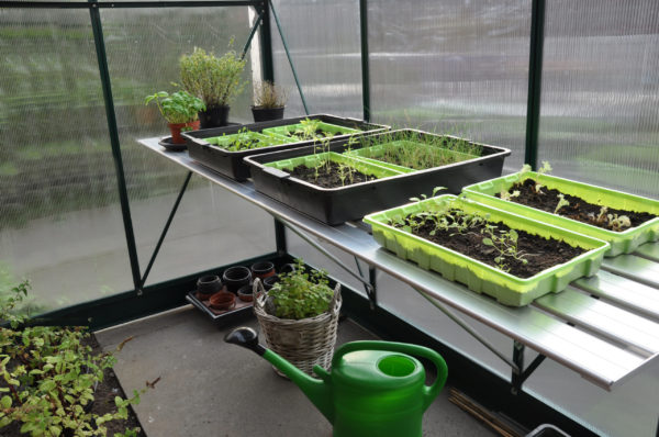 Kweektafel Alu Grower Royal Well