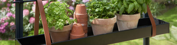 Hanging tray Royal Well