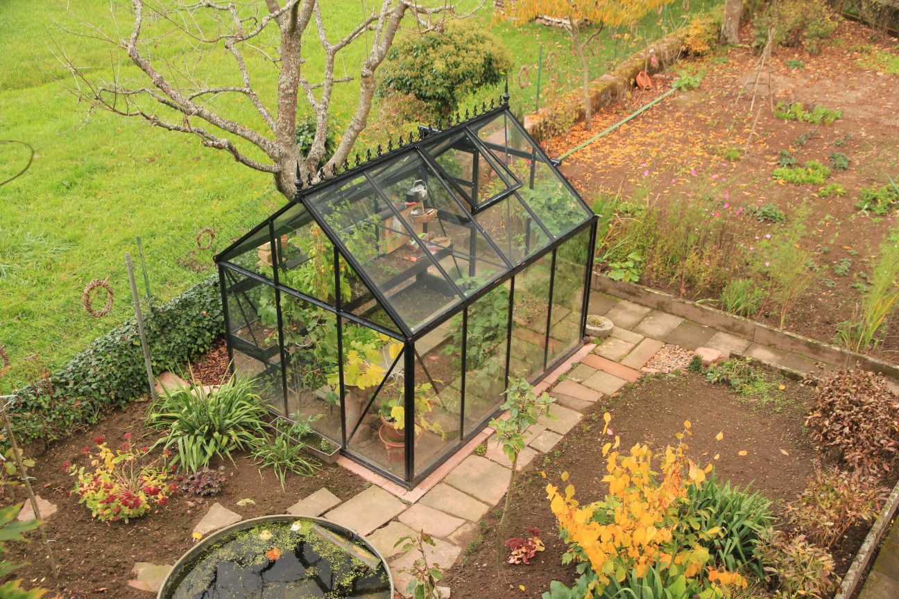 Janssens ACTIEMODEL Eos Junior