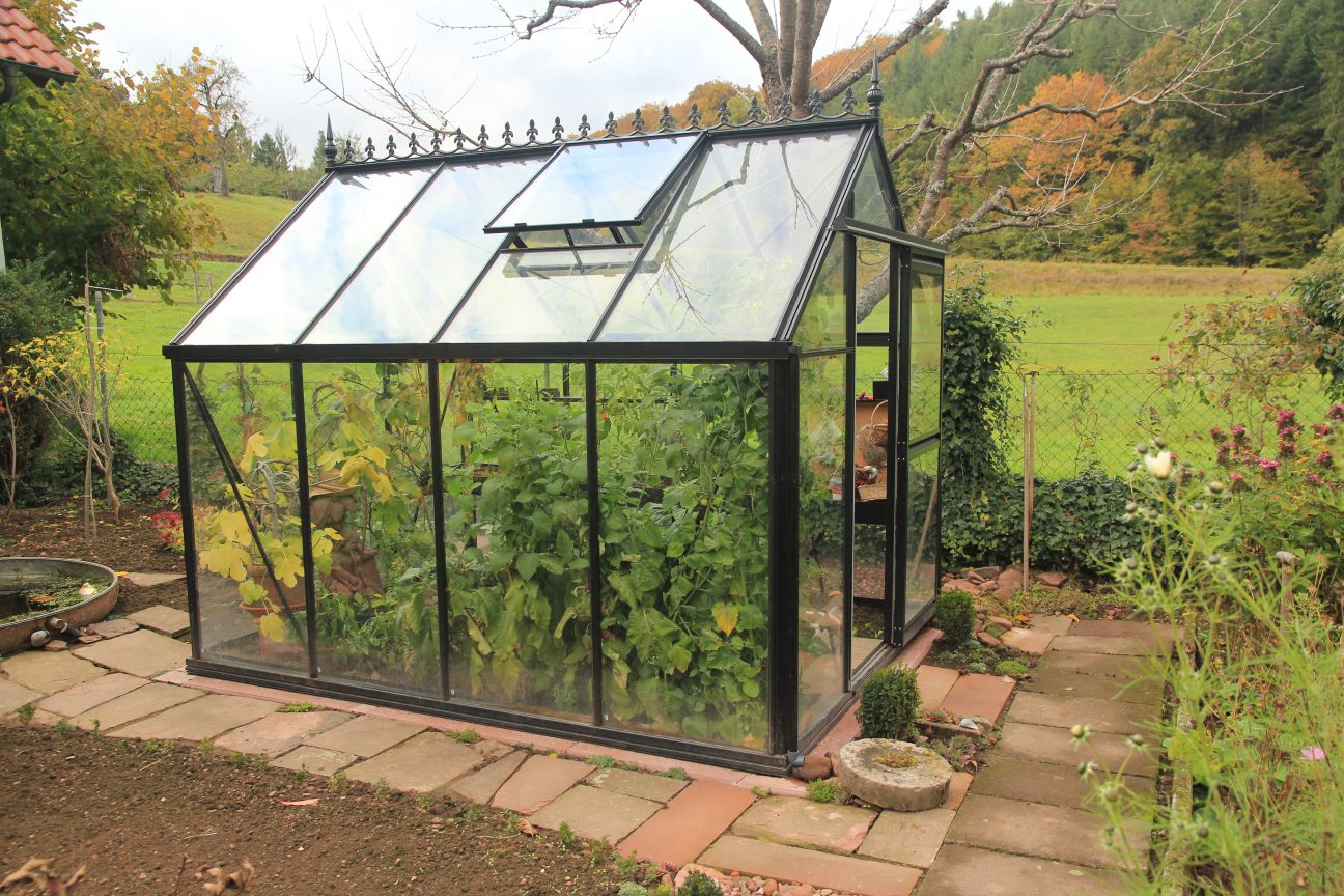 Janssens ACTIEMODEL Eos Junior - Afbeelding 2