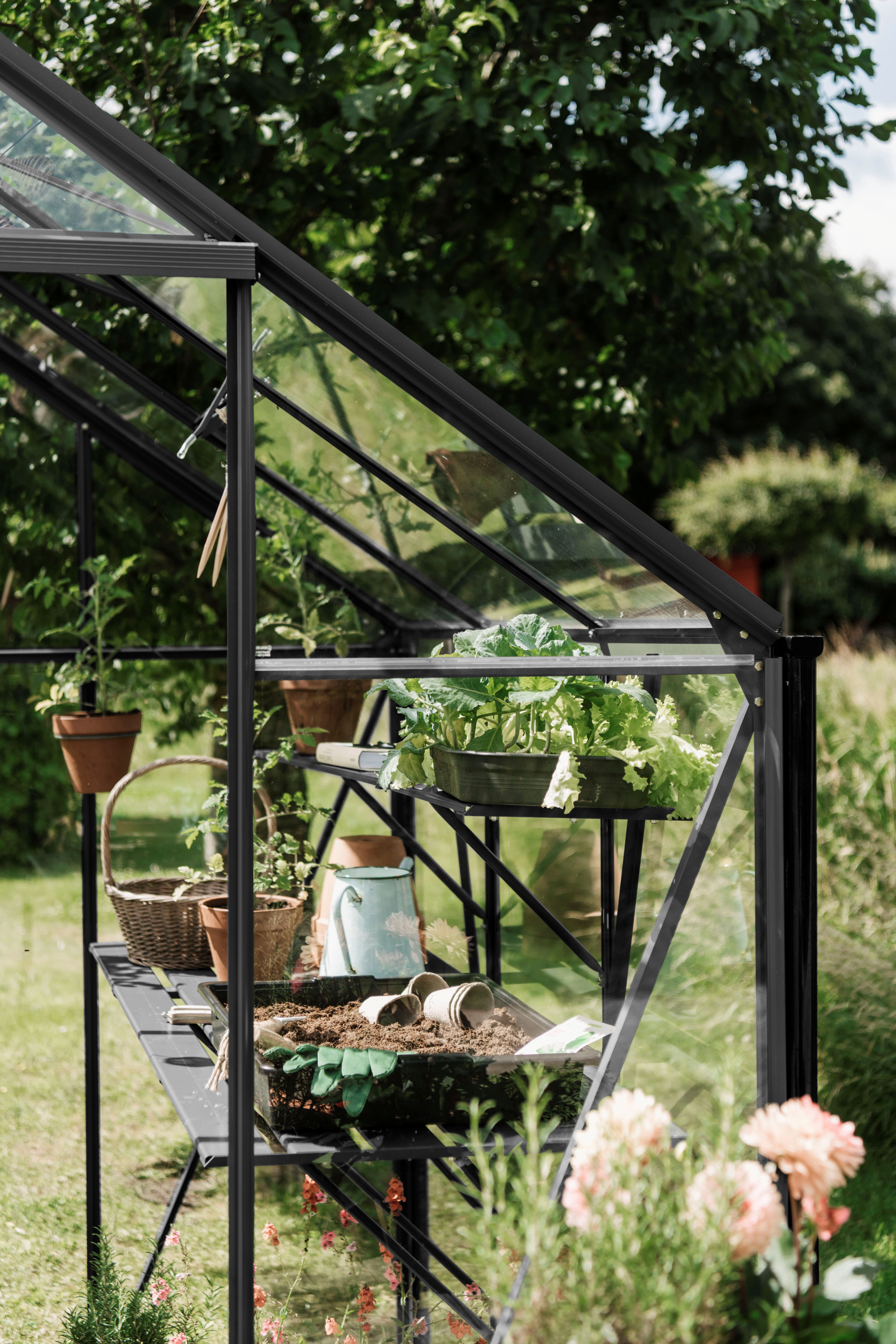 Kate Royal Well - Afbeelding 3