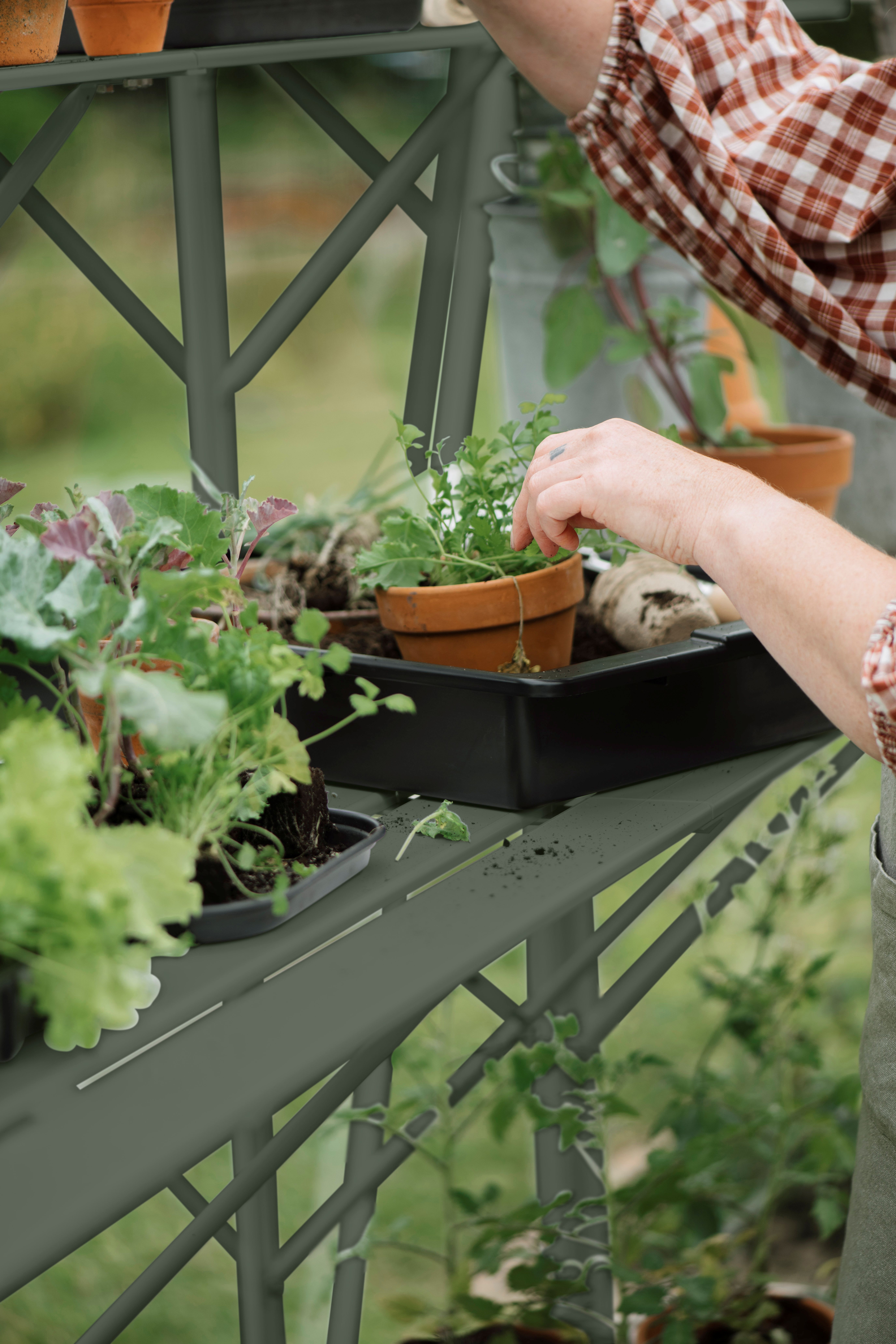 Mary Royal Well - Afbeelding 3