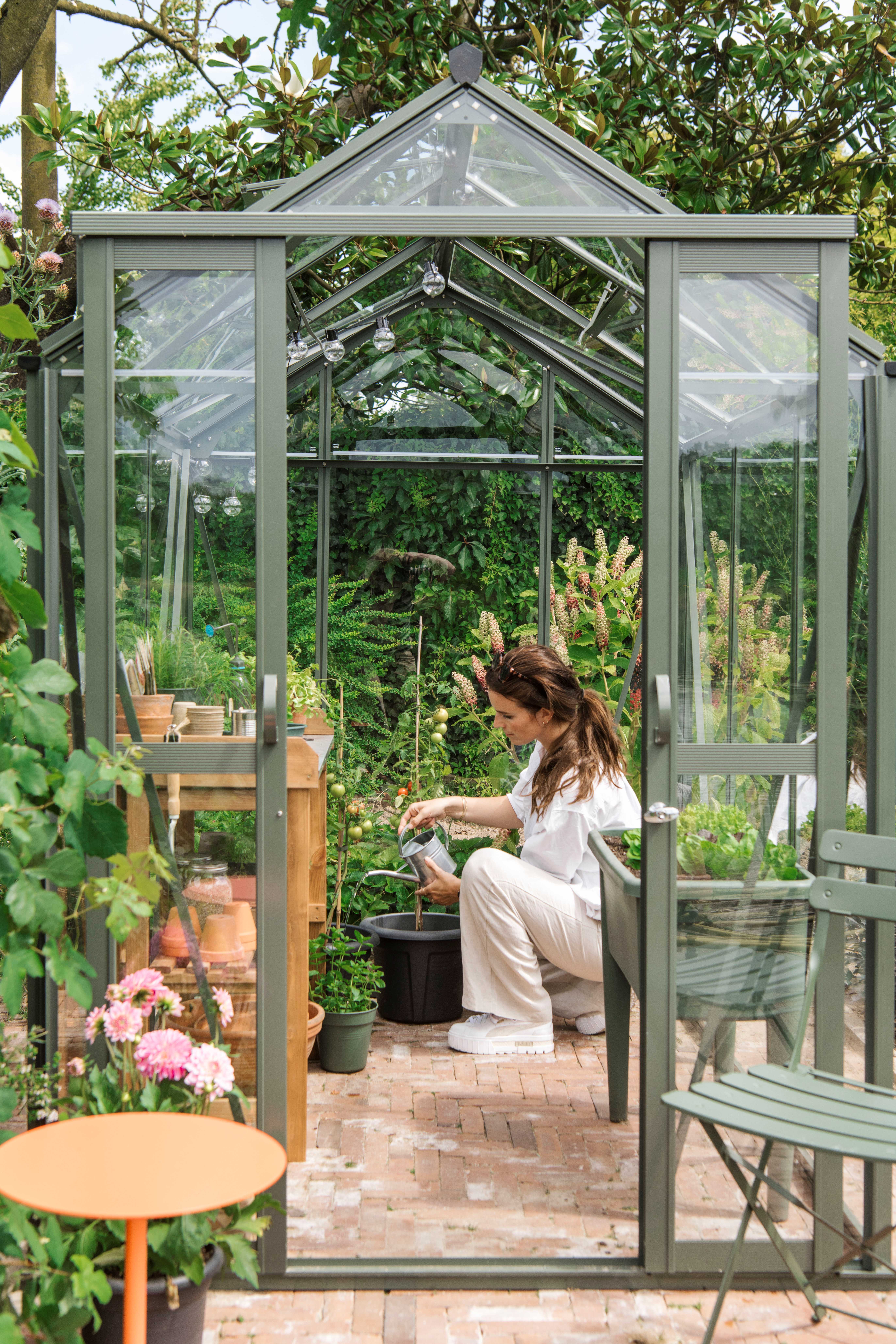 Anne Royal Well - Afbeelding 4