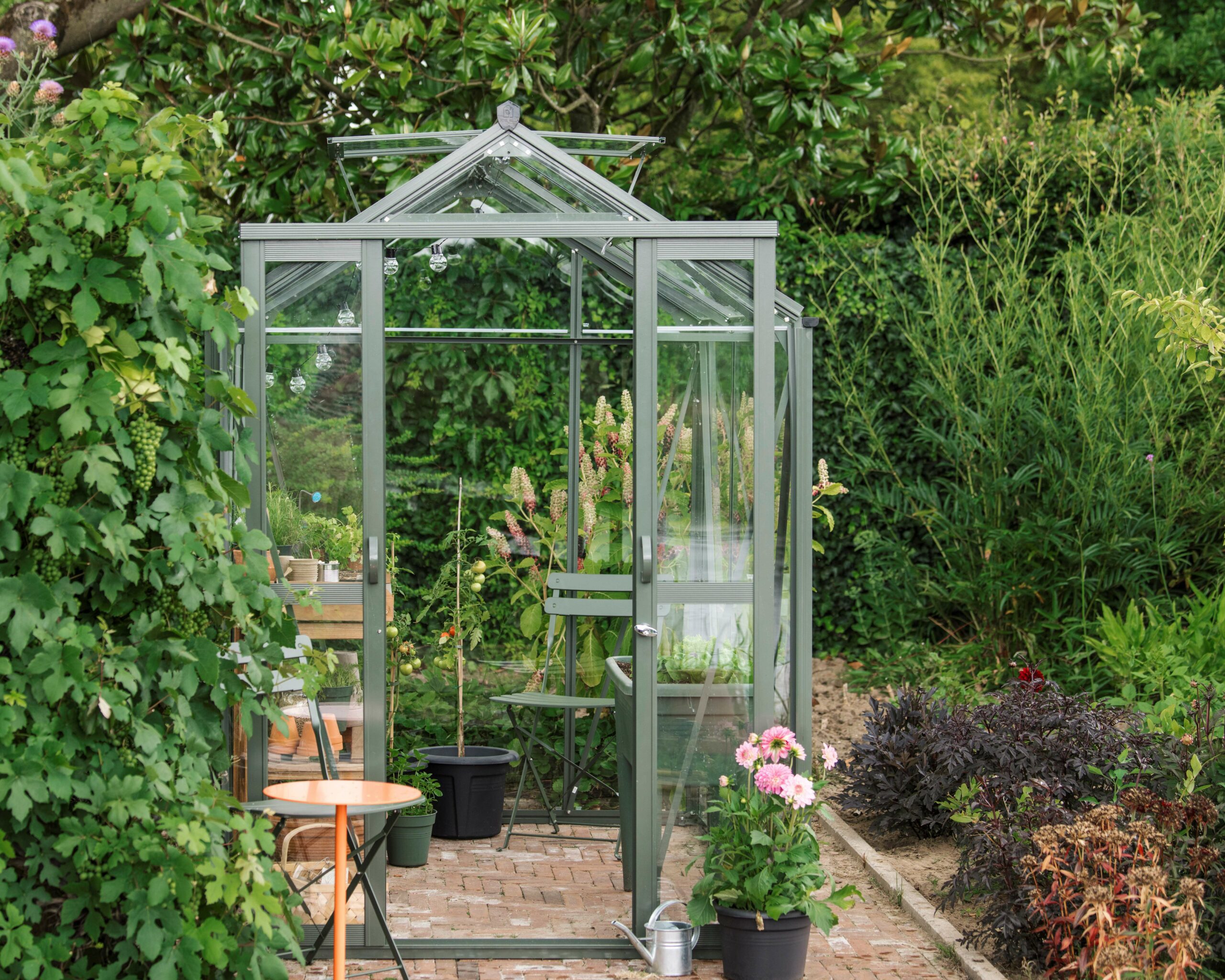 Anne Royal Well - Afbeelding 3