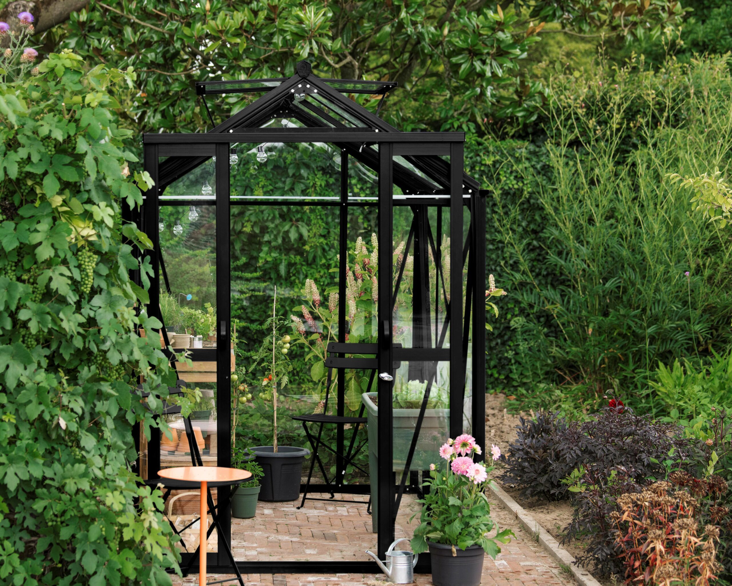 Anne Royal Well - Afbeelding 2