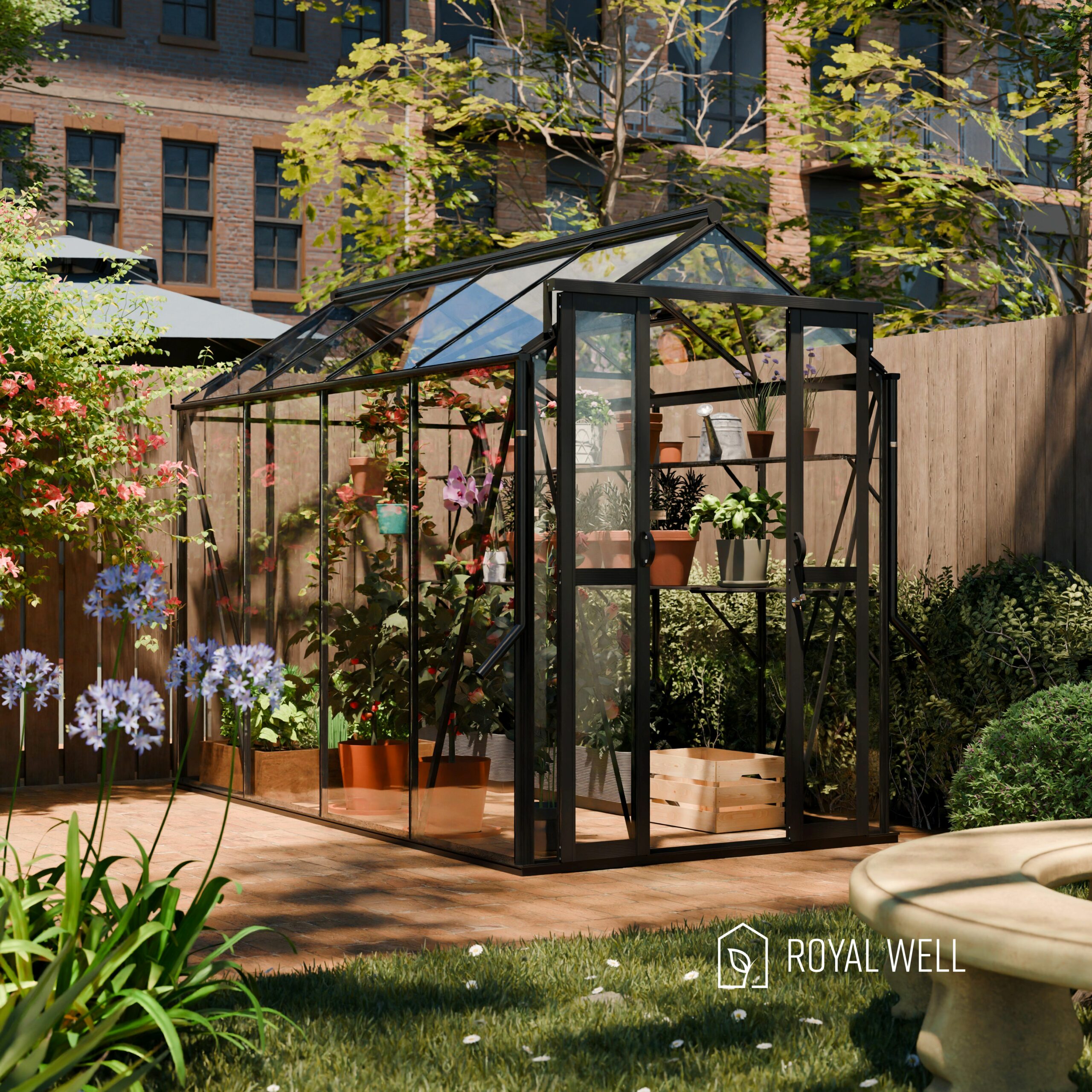 Anne Royal Well - Afbeelding 5